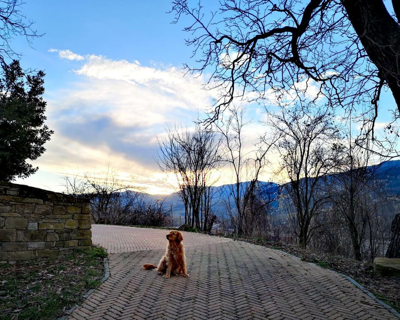 Agriturismo Il Salice Tizzano Val Parma 外观 照片
